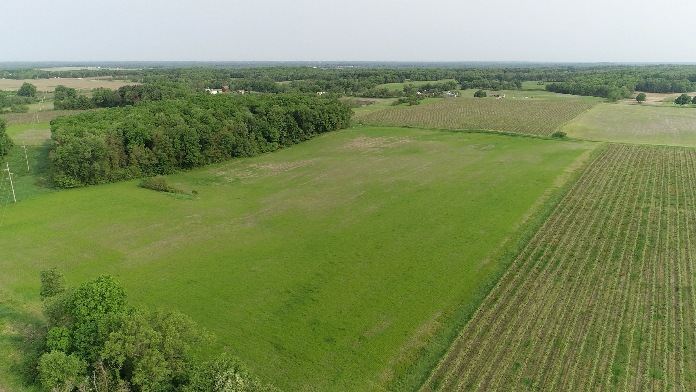 Van Buren County, Michigan farmland - LAND AUCTION - 194+/- ACRES OFFERED IN 5 TRACTS IN VAN BUREN COUNTY, MICHIGAN